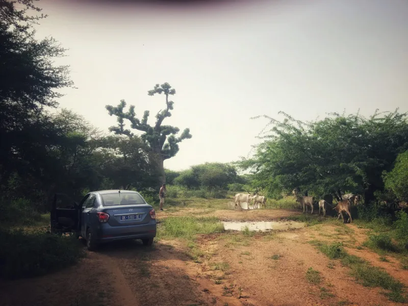 SRI LANKA tuktukem 2022