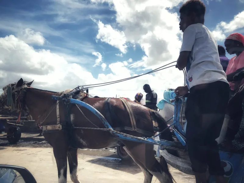 SENEGAL 2019