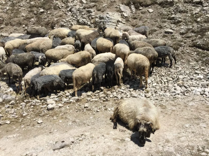 BALKÁN road trip 2019