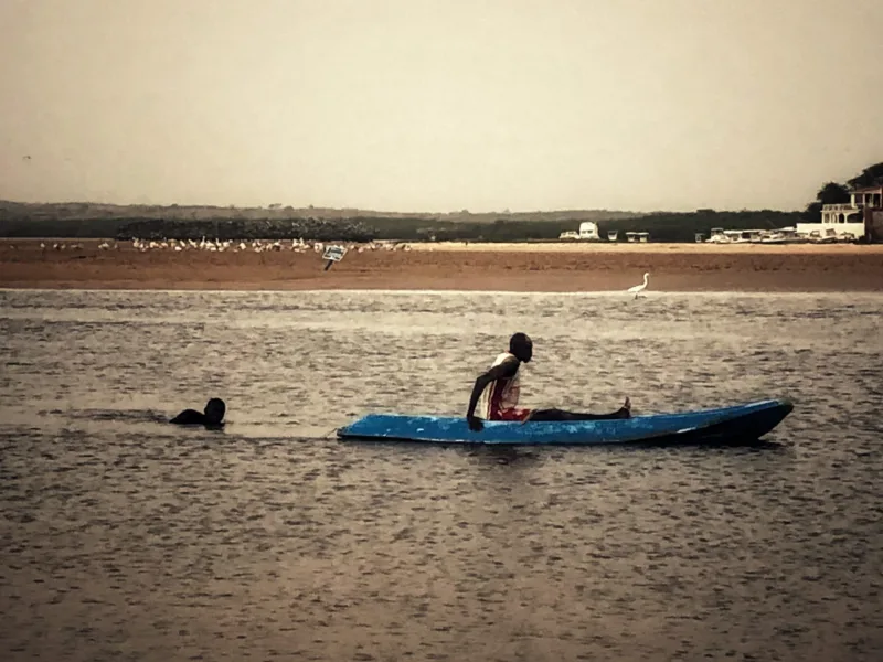 SENEGAL 2019