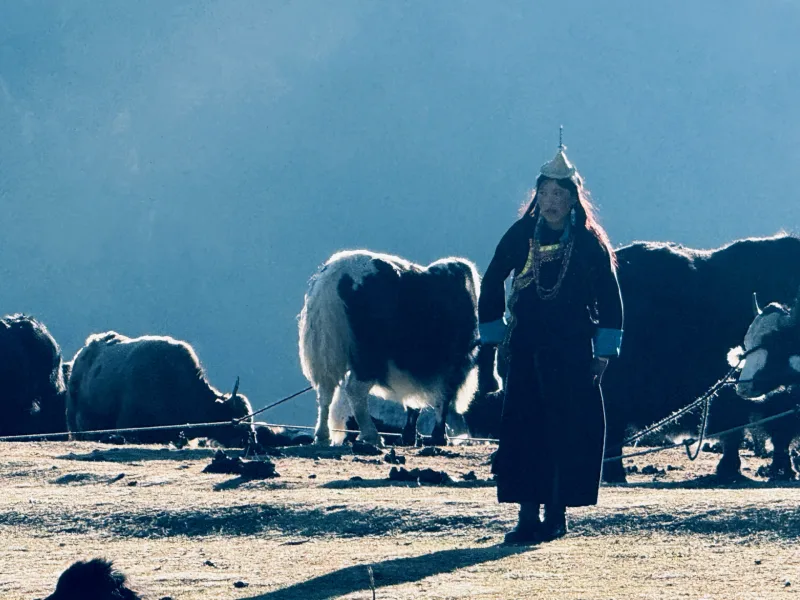 BHUTAN snowman trek 2025
