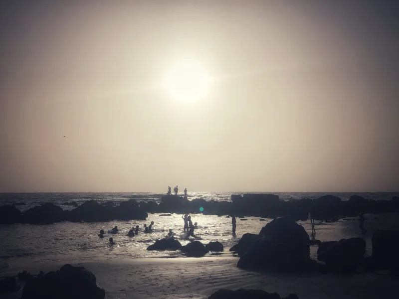 SENEGAL 2019