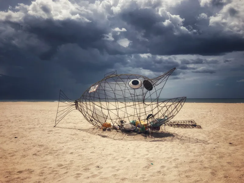 SENEGAL 2019