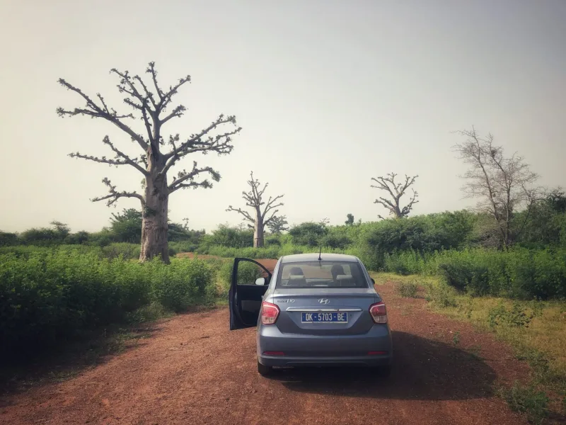 SENEGAL 2019