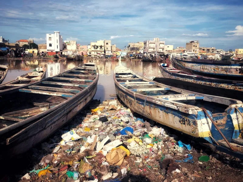 SENEGAL 2019