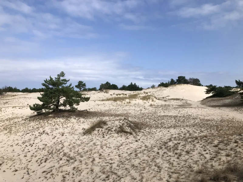 Polsko Pobaltí 2022