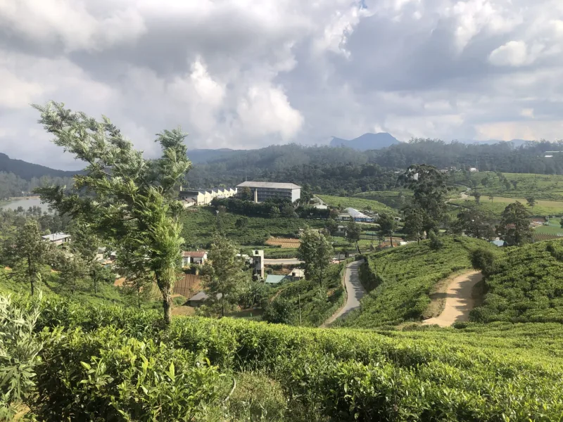 SRI LANKA tuktukem 2022