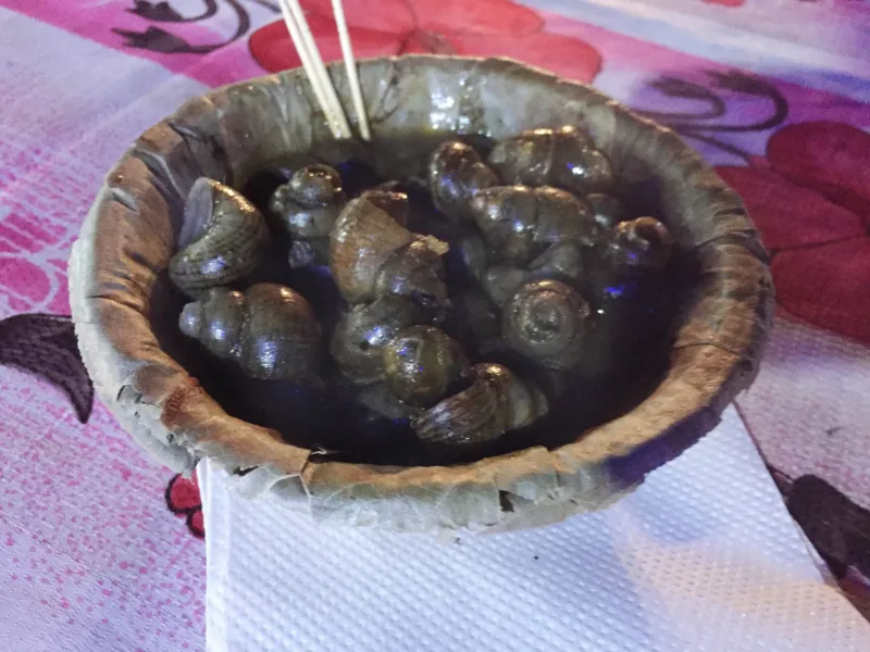 NEPÁL 2019