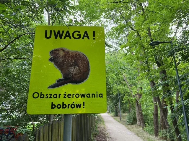 LITVA-LOTYŠSKO-ESTONSKO-POLSKO 2024